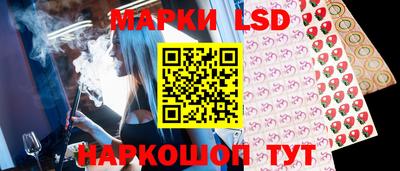 гидропоника Можга