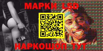 гидропоника Можга