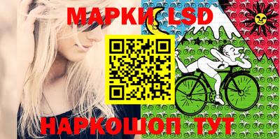 гидропоника Можга