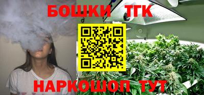 гидропоника Можга